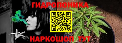 стаф Тара