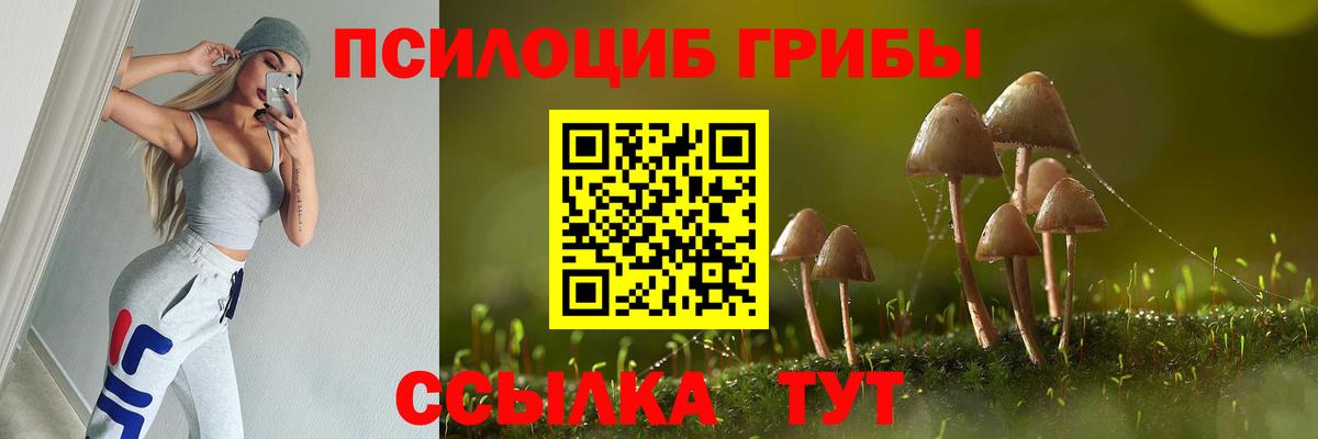 цена наркотик  Галлюциногенные грибы Psilocybe  Вход с VPN  Малгобек 